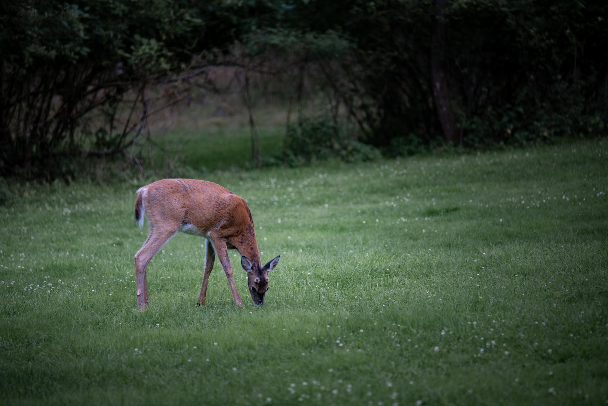 DSC_0826