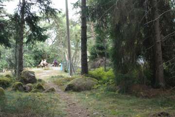 DANAKAR_PERJANTAI_VISA_LAMPI - 0098