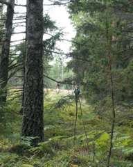 DANAKAR_PERJANTAI_VISA_LAMPI - 0104