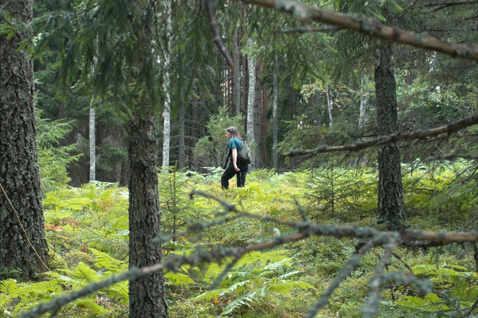 DANAKAR_PERJANTAI_VISA_LAMPI - 0105