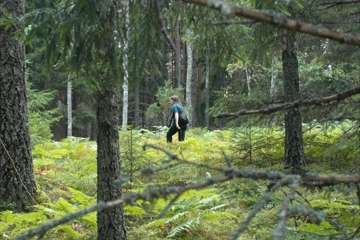 DANAKAR_PERJANTAI_VISA_LAMPI - 0105
