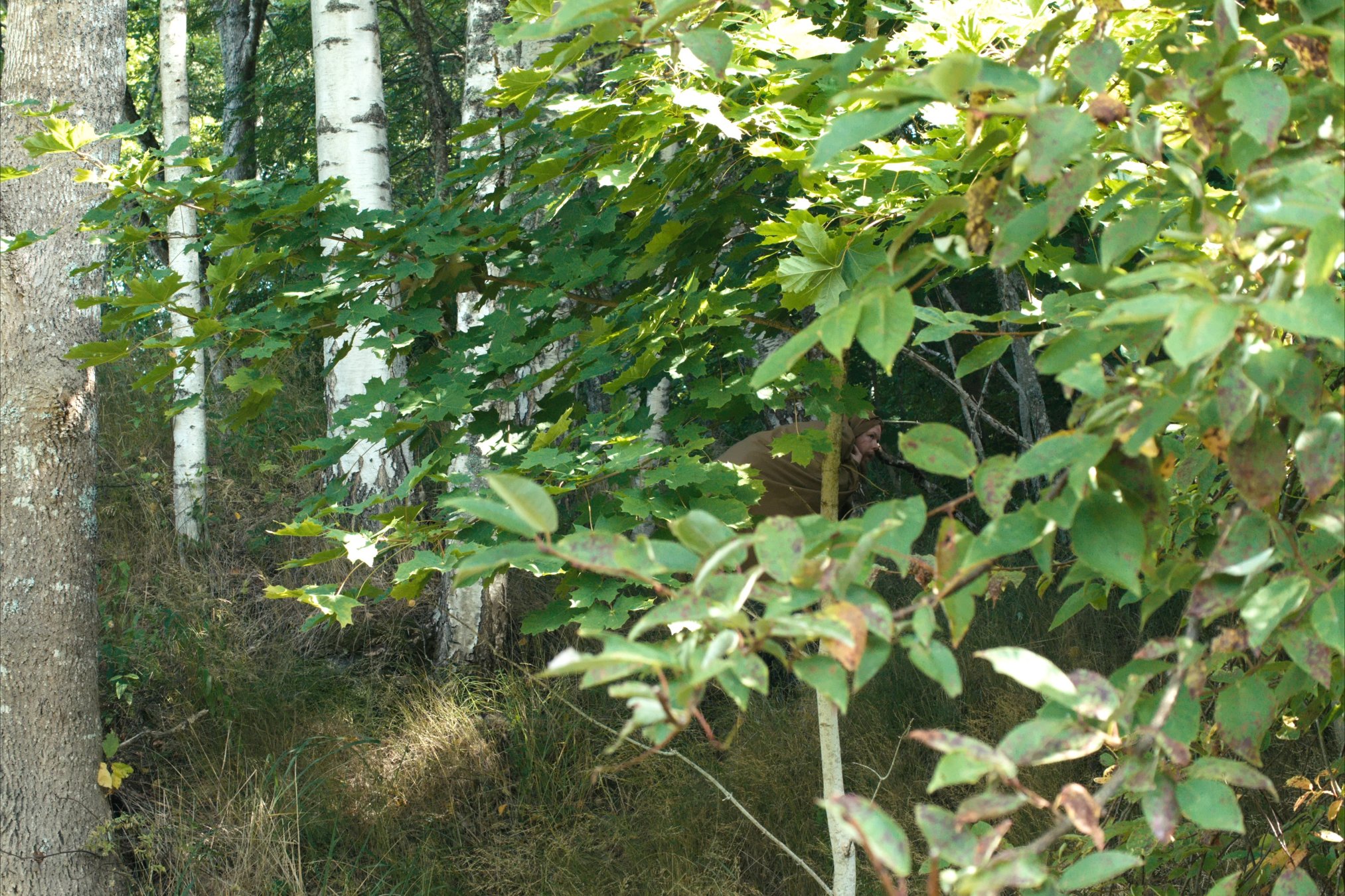 DANAKAR_LAUANTAI_VISA_LAMPI - 0076