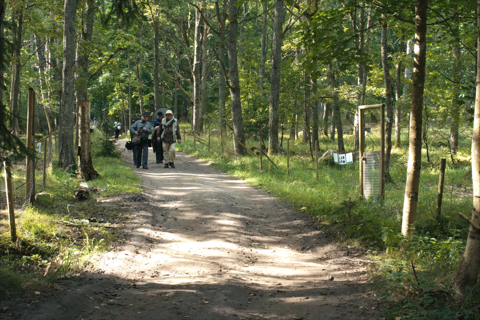 DANAKAR_LAUANTAI_VISA_LAMPI - 0166