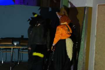 DSC06620