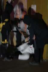 DSC06757