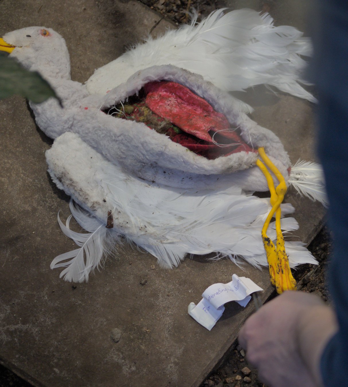 1A9A6986
