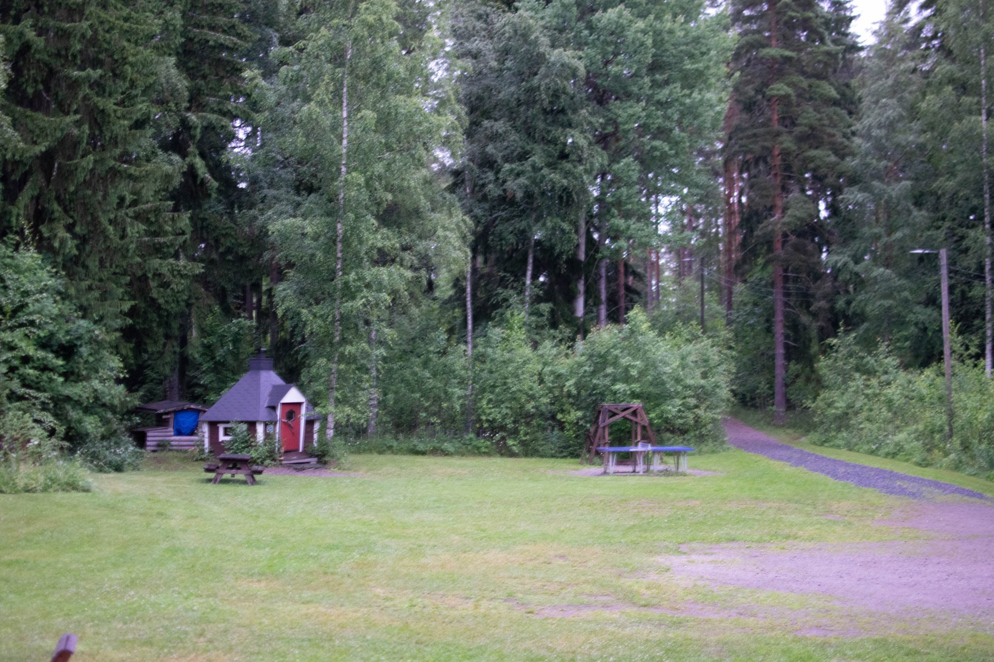 IMG_806