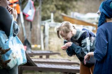 merenlahjat0926_amik-10013
