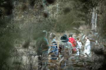 merenlahjat0926_amik-10426