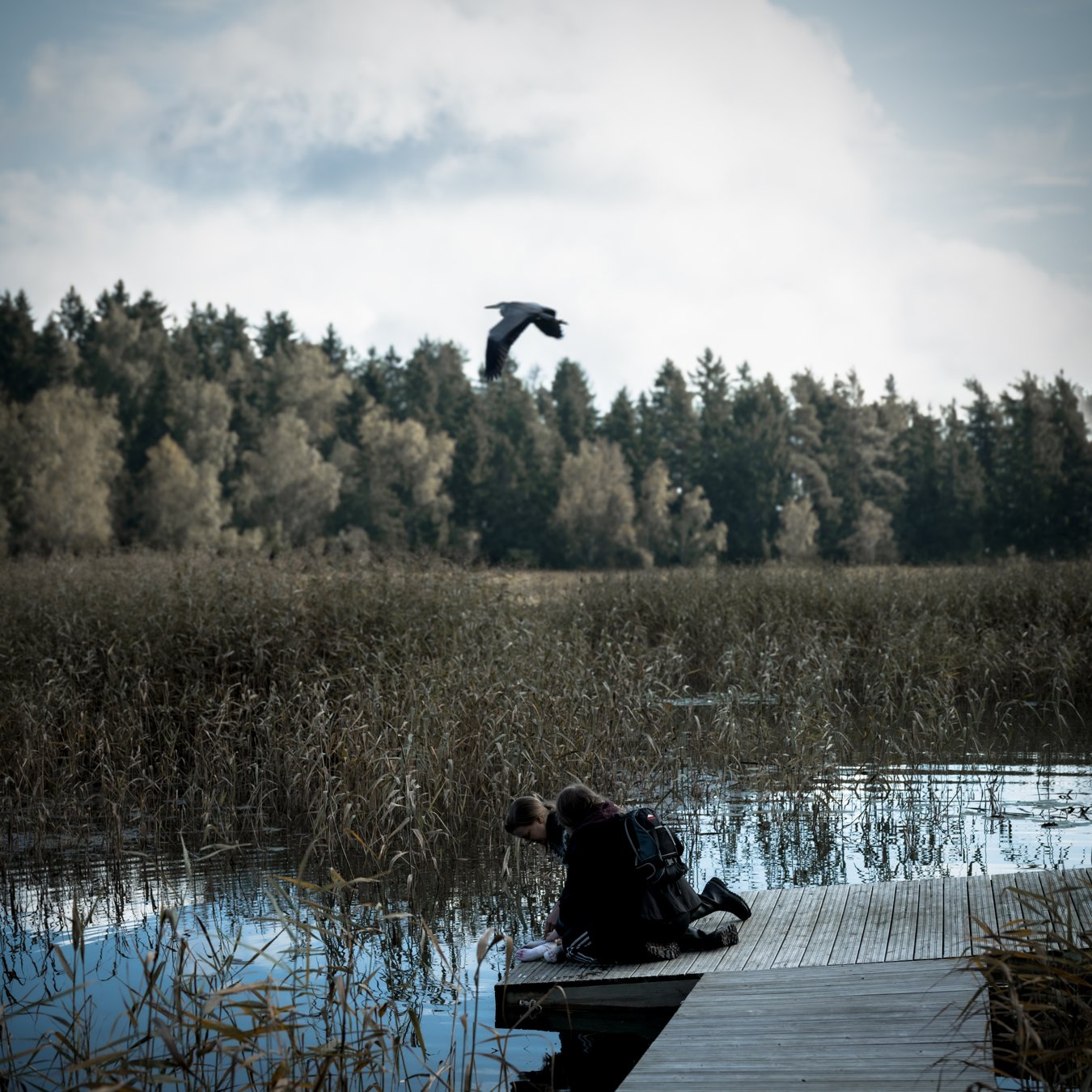 merenlahjat0926_amik-9603