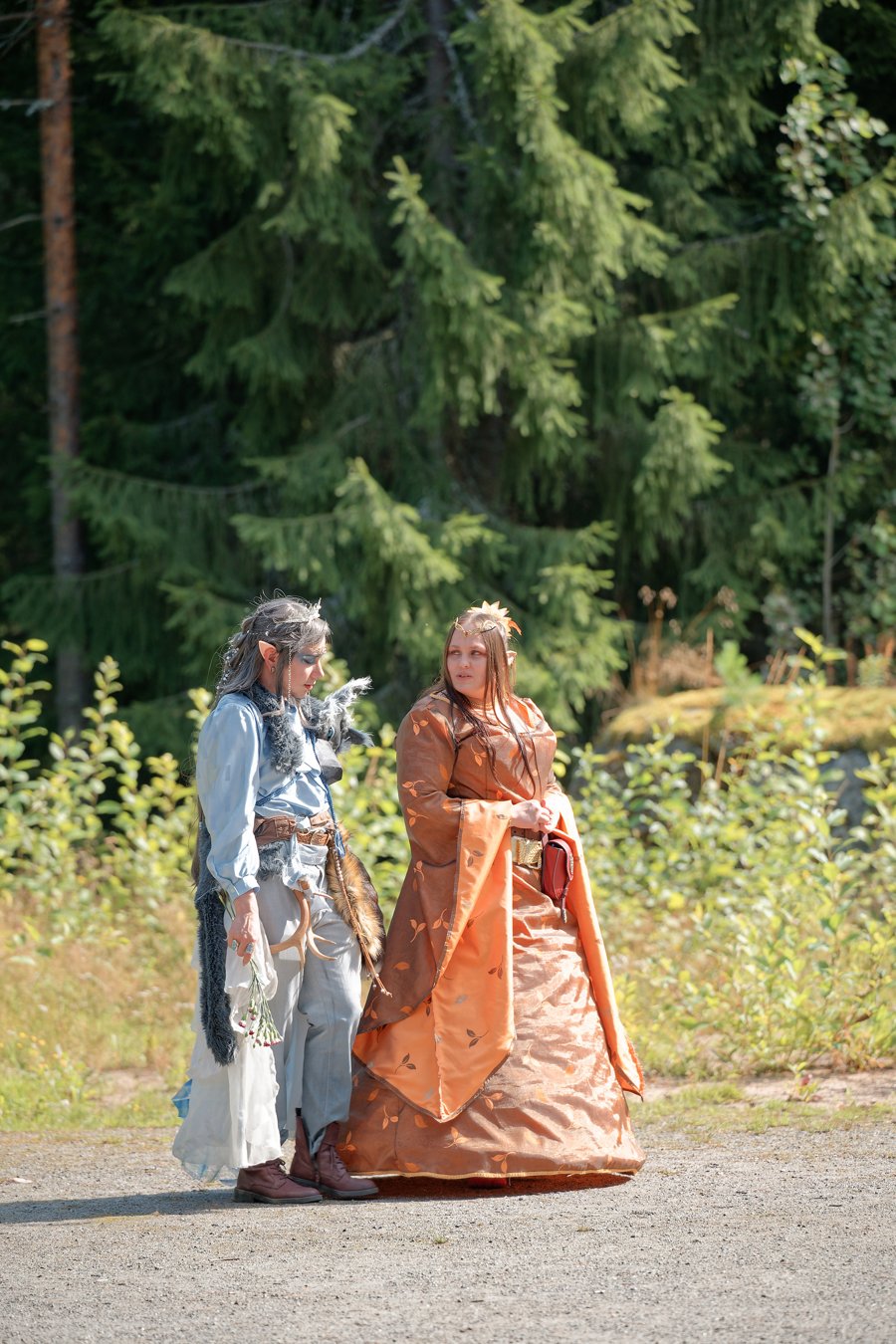 TPRV_0178