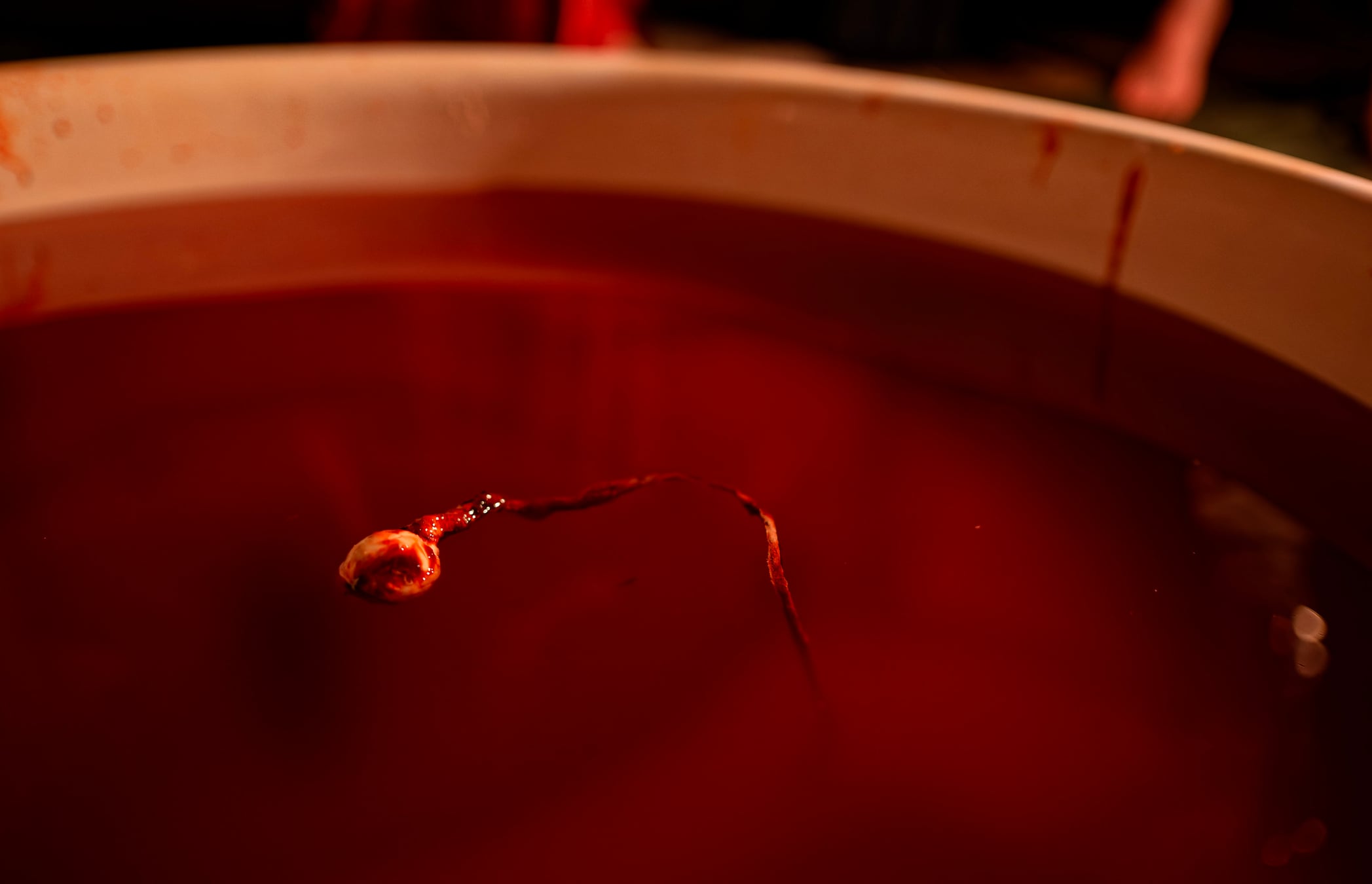 DSC_1316