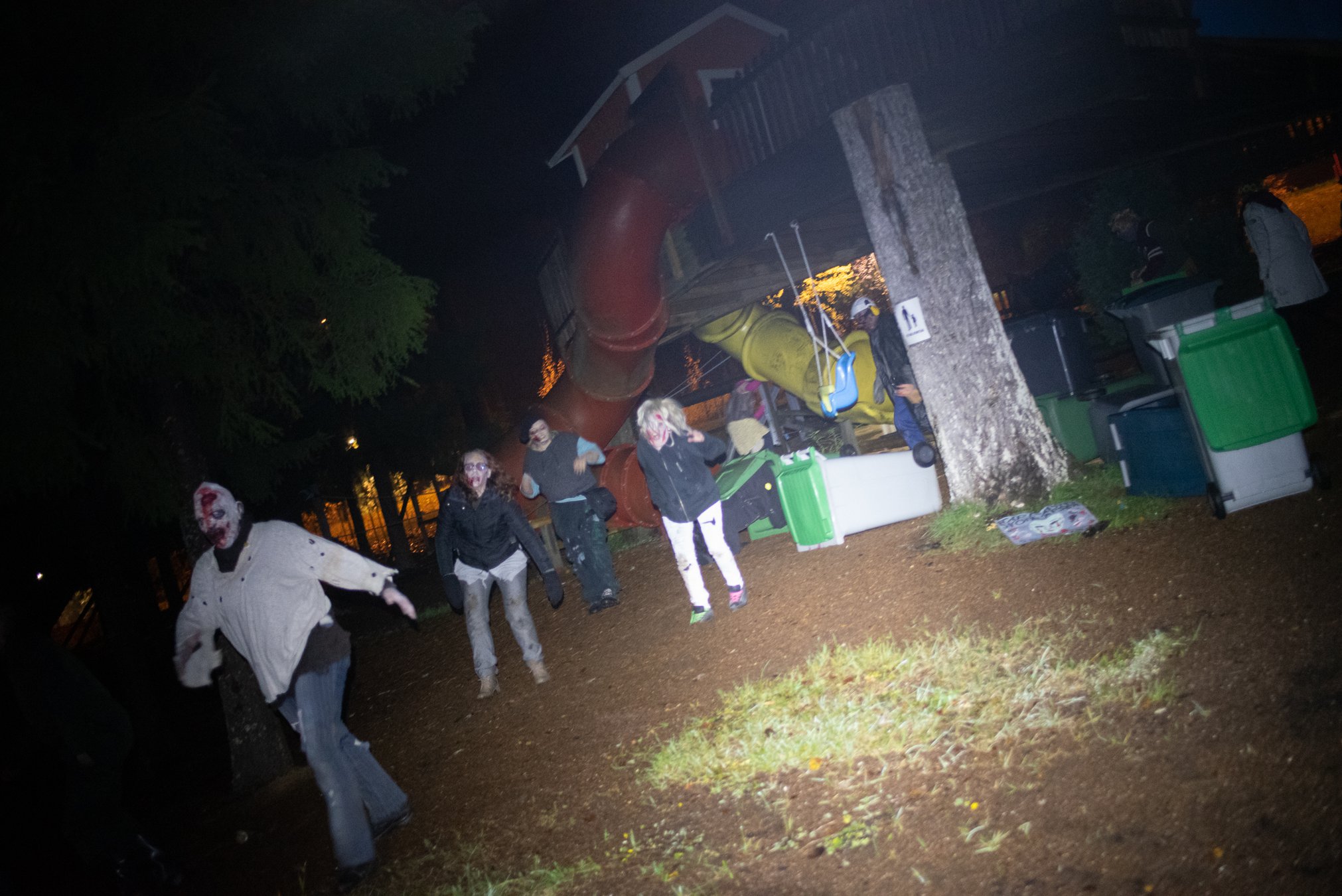 JPS_8331