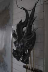 ELGARION_2_0006