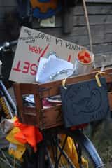 IMG_0050